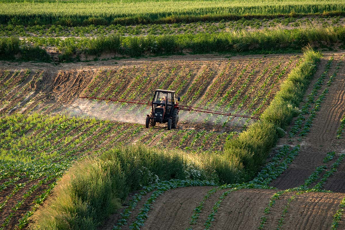 Zakres programu Agroenergia