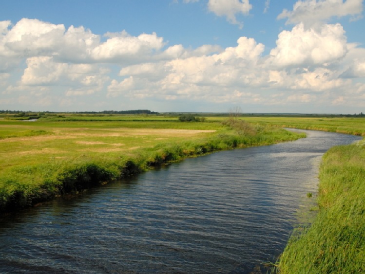 Biebrzański PN chce wydzierżawić w 2016 r. ok. 600 ha bagiennych łąk