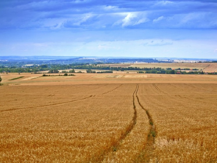 PO proponuje: zakup do 5 ha ziemi rolnej - nie tylko dla rolników