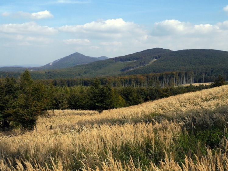 Podkarpackie/ Ruszył projekt „Razem dla Zielonego Podkarpacia”