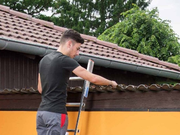 Czas pożegnać prace ogrodowe. Jakie czynności wykonać przed zimą?