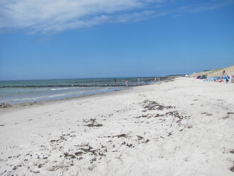 Prawie wszystkie plaże w Trójmieście zamknięte z powodu sinic