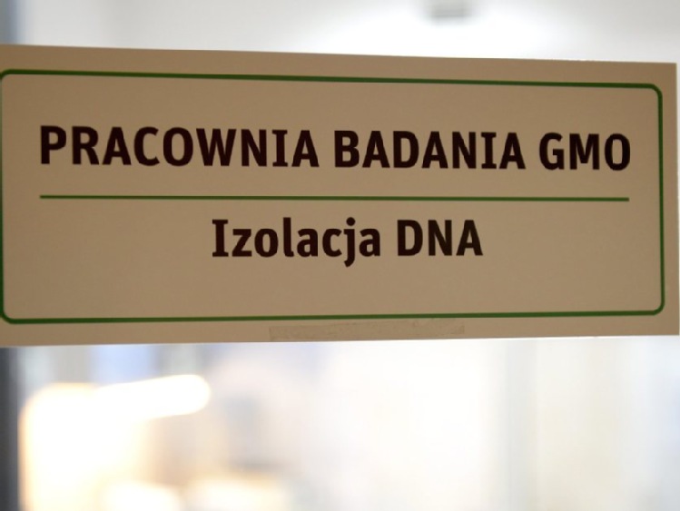 Ardanowski: w Polsce nie będzie legalnych upraw roślin GMO