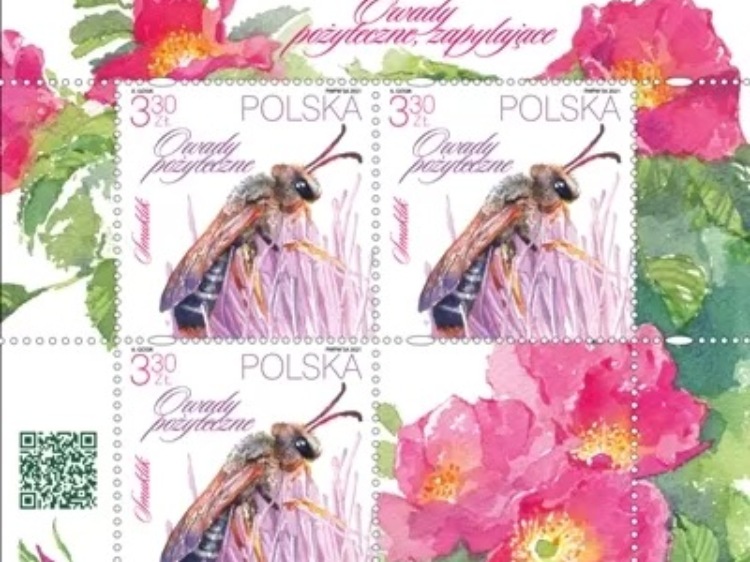 „Owady pożyteczne” – nowa, proekologiczna seria znaczków Poczty Polskiej