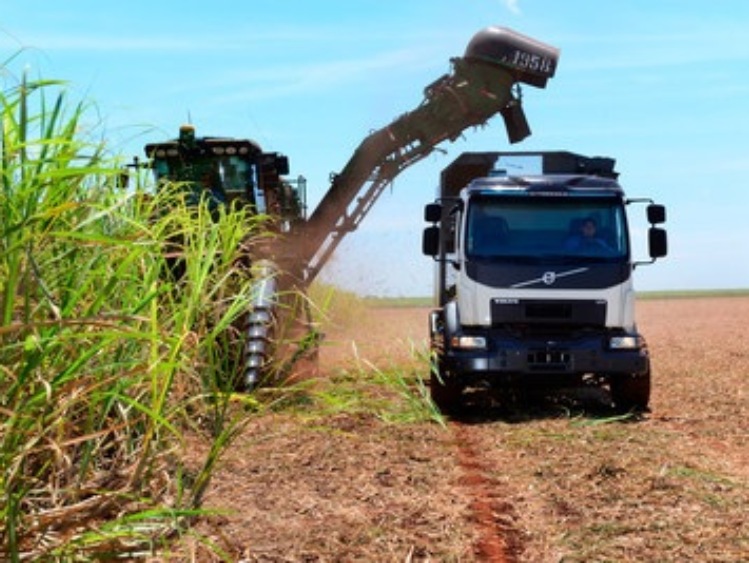 Automatycznie kierowany samochód ciężarowy Volvo gotowy, by zwiększyć zbiory trzciny cukrowej w Brazylii