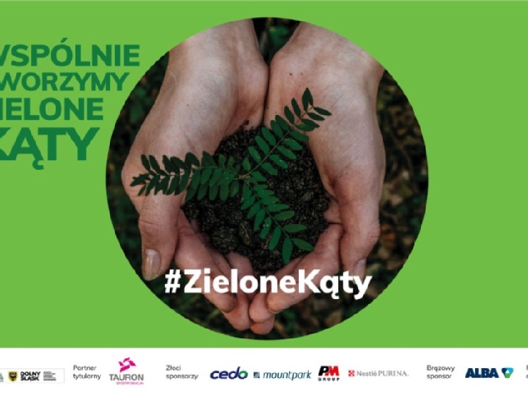 #ZieloneKąty  – nowe drzewa w gminie