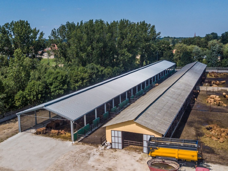 Inwestycja w rolnictwie, kt&oacute;ra zwraca się najszybciej. Dlaczego nowoczesne hale wypierają tradycyjne stodoły?