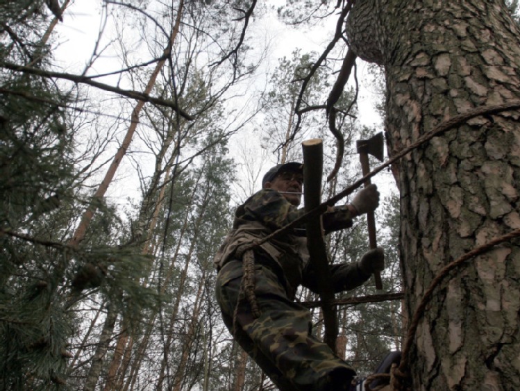 Elbląg/ Leśnicy chcą przywrócić tradycje bartnicze