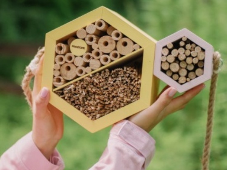 #beeYOPE Razem pomagamy pszczołom!