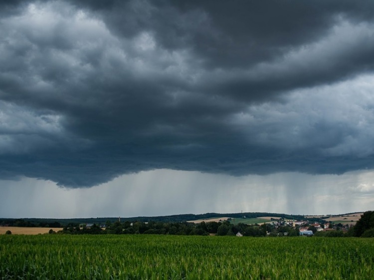 Lubelskie/ Prawie 200 interwencji strażaków po nocnej wichurze