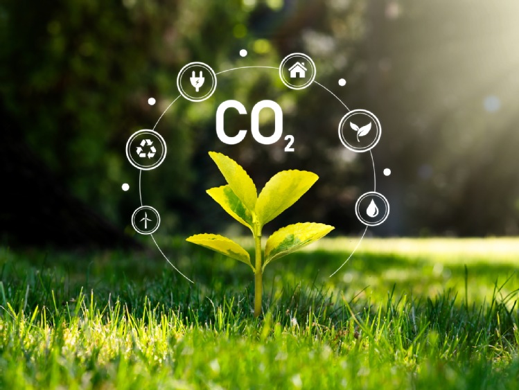Energy Solution pomoże w oszacowaniu śladu węglowego i raportowaniu ESG