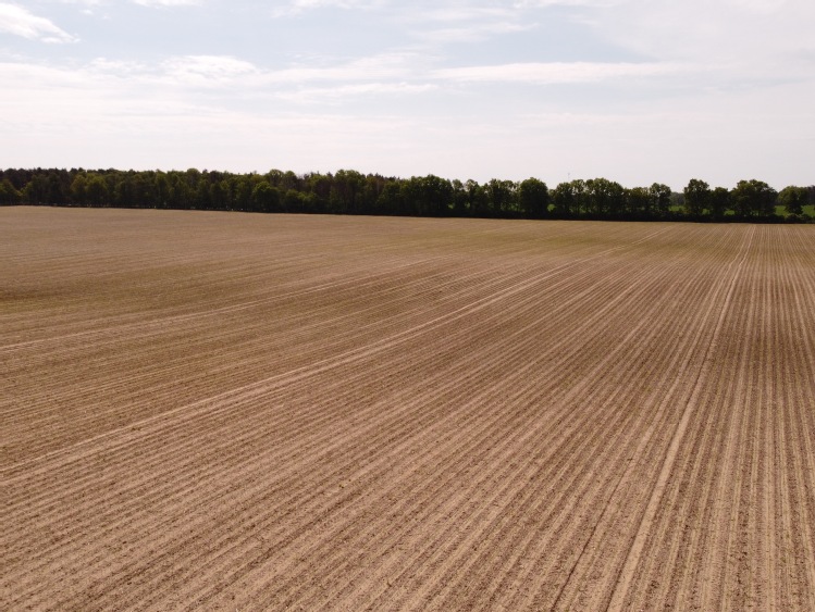 Realne korzyści zastosowania rolnictwa precyzyjnego CLAAS i 365 FarmNet