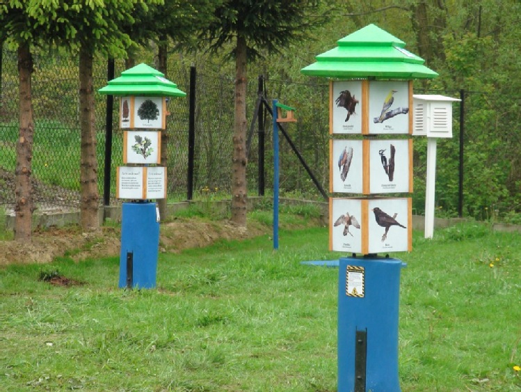 60 rzadkich gatunków ptaków w Polsce – jak długo?