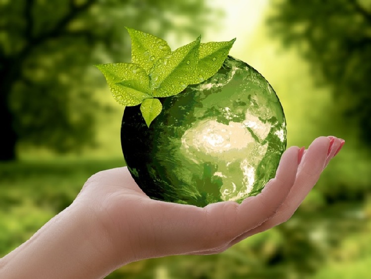 COP24/ W poniedziałek samorządowa deklaracja &bdquo;Solidarność dla Klimatu&rdquo;