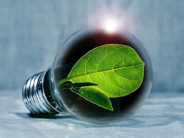 Czołowi gracze rynku OZE będą współpracować na rzecz rozwoju biogazu i biometanu