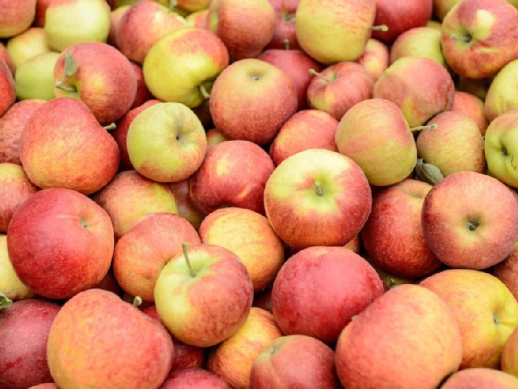 Bronisze: drogie jabłka z ubiegłorocznych zbiorów