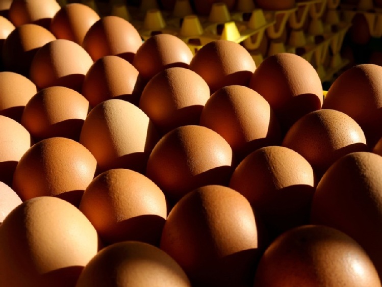 Singapur wycofuje z rynku jaja z powodu Salmonelli