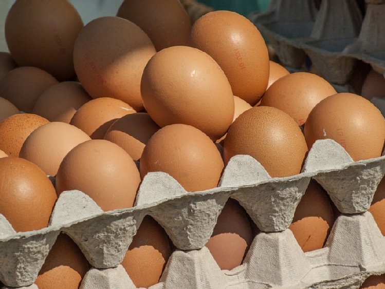 Kilka lat nadpodaży jaj przewiduje Glenrath Farms