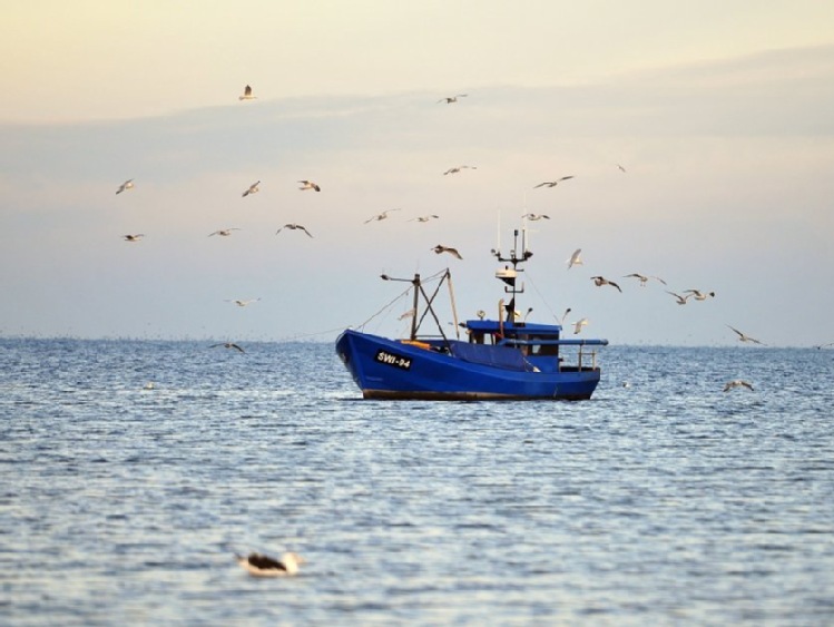Sejm/ Projekt nowelizacji ustawy o rybołówstwie morskim ponownie skierowany do komisji