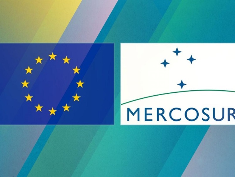 MERCOSUR: w Europę tanią żywnością – polskie rolnictwo pod ścianą