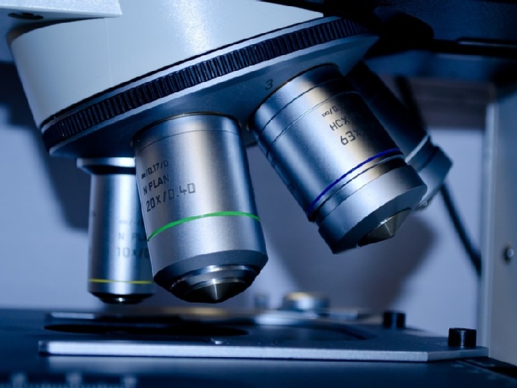 Komunikat Gł&oacute;wnego Lekarza Weterynarii dotyczący 72-73 ogniska afrykańskiego pomoru świń (ASF) u świń w 2021 r.