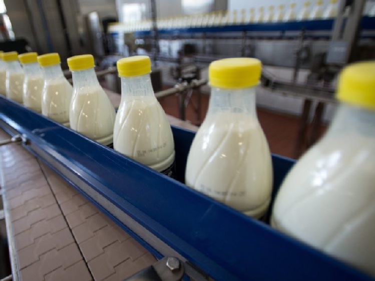 Tłuszcz mleczny w górę, proszki nadal w dół  – wyniki sesji giełdy Global Dairy Trade