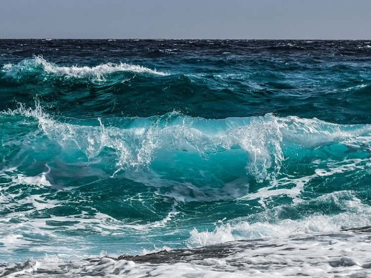 Oceanograf: sinice bywają toksyczne, ale nie są dla ludzi jednoznacznie złymi organizmami