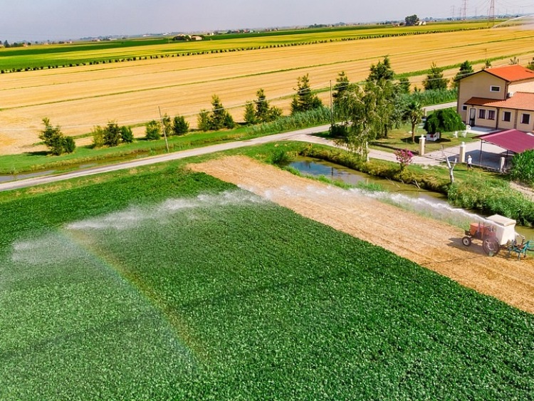 Kończy się nabór wniosków na zalesianie a na ubieganie się o wsparcie na modernizację czasu coraz mniej