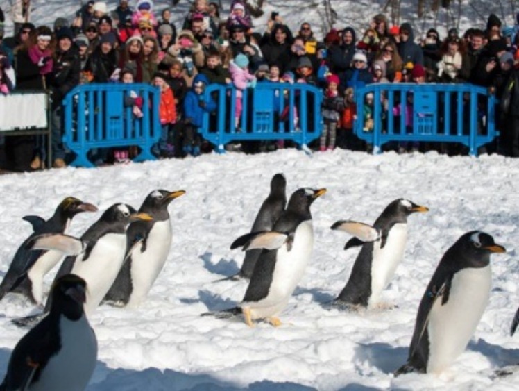 Zoo z Pittsburgha wyposażone w monitoring temperatury polskiej firmy