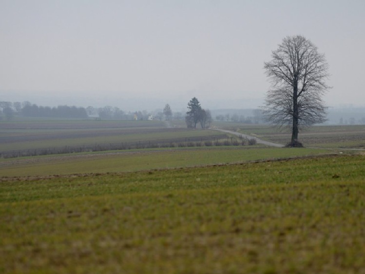 Małopolskie/ Ponad 76,5 mln zł z PROW na scalanie gruntów rolnych