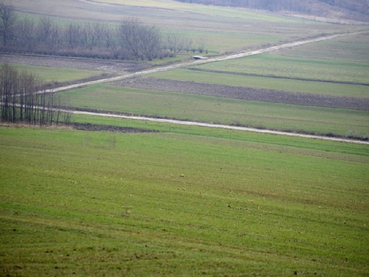 Świętokrzyskie/ Ok. 17 mln zł na scalenie gruntów na wsiach