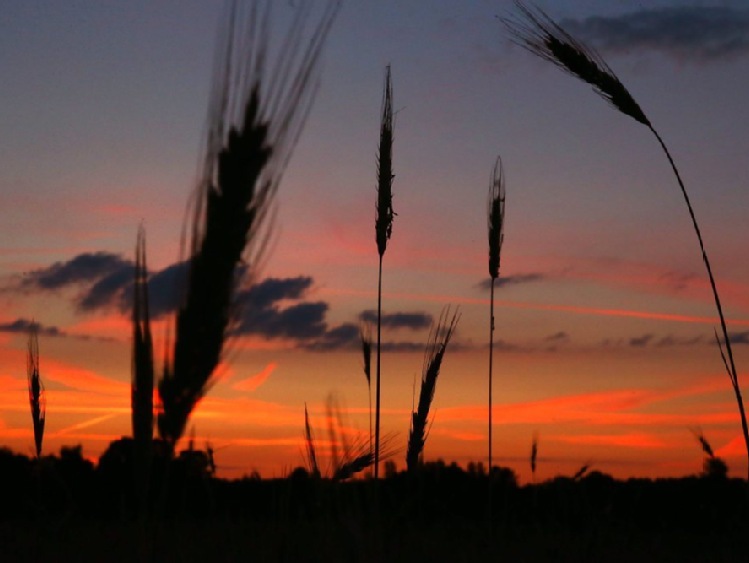 W środę rano początek astronomicznego lata