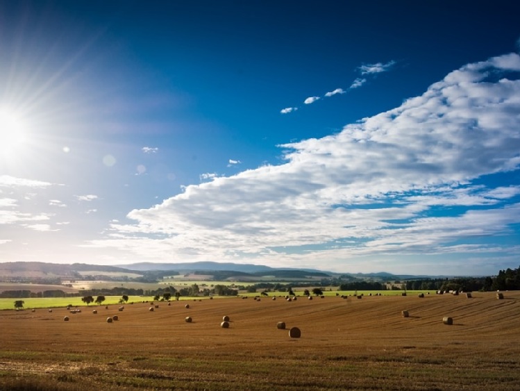 Copa-Cogeca o strategii klimatycznej Komisji Europejskiej do 2050 r.