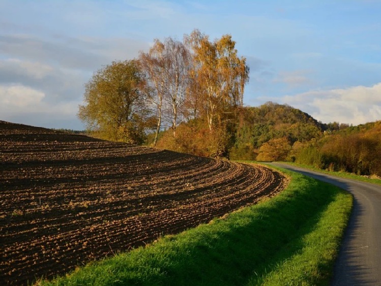 Zagospodarowanie ziemi z budów