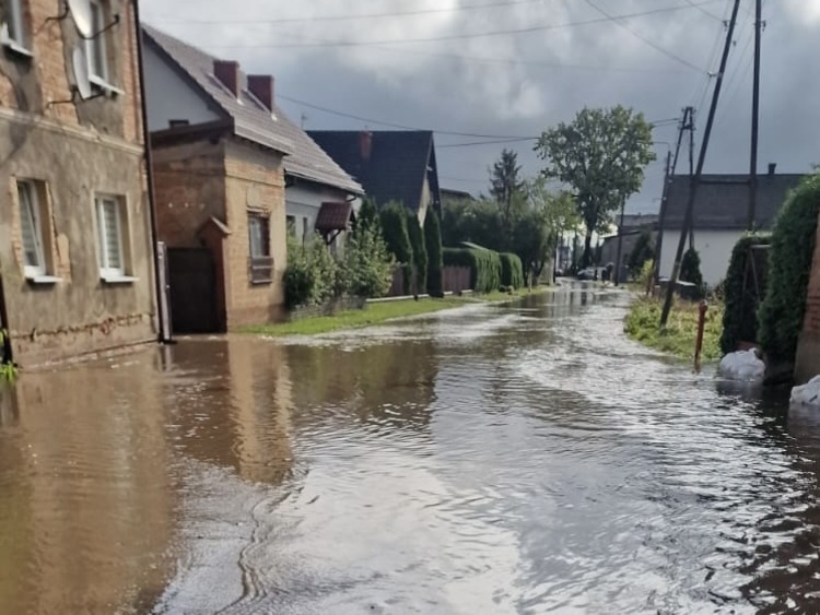 A resort rolnictwa zamiast pomagać będzie czekał na oszacowanie strat