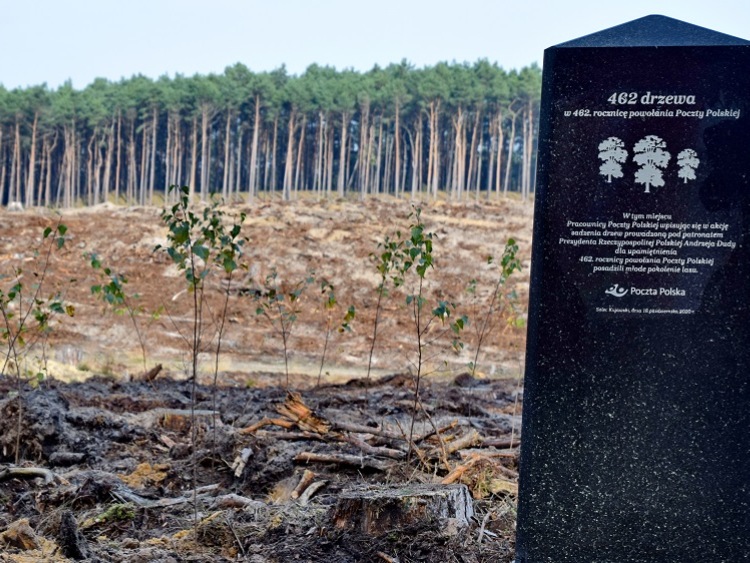 462 drzewa w 462. rocznicę powołania Poczty Polskiej