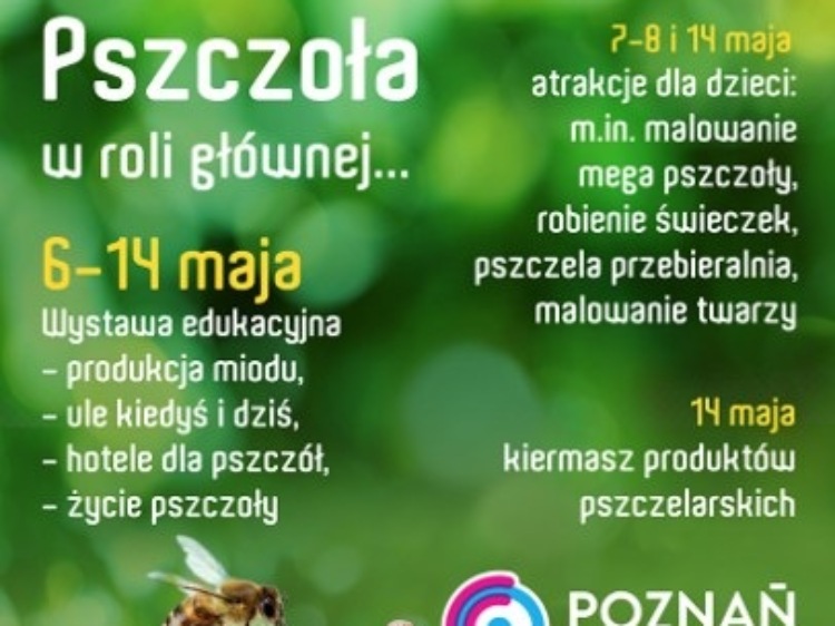 Pszczoła w roli głównej … wystawa edukacyjna w Poznań City Center