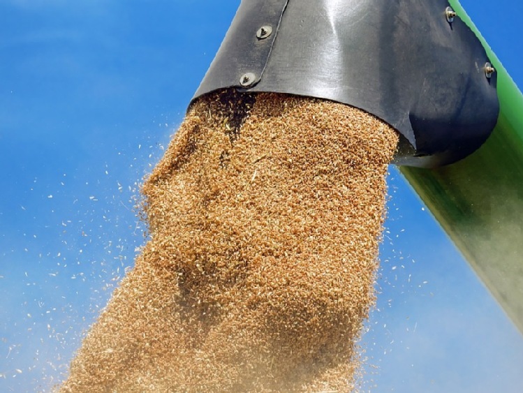 Eksport zbóż z Ukrainy - pilne działania KE