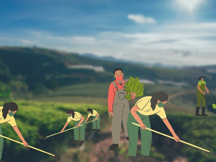 Modernizacja 2.0, wersja minimalistyczna- tak niestety jest