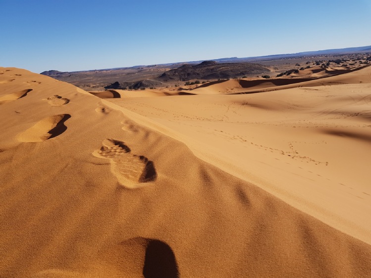 Nowe, ekstremalne trasy Runmageddonu Sahara