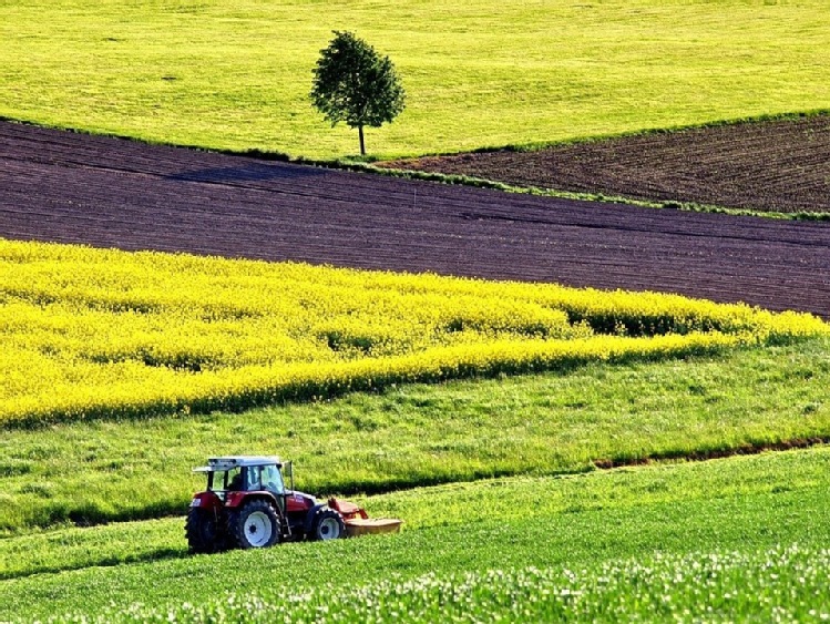 Copa - Cogeca: jedno uniwersalne rozwiązanie nie sprawdzi się w obszarach wiejskich, a zwłaszcza w kwestii transportu rolnego