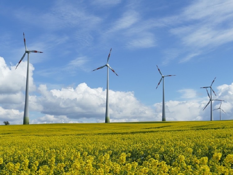 Oświadczenie dotyczące głosowania nad opinią Komisji AGRI Parlamentu Europejskiego w sprawie strategii bioróżnorodności na 2030 r.