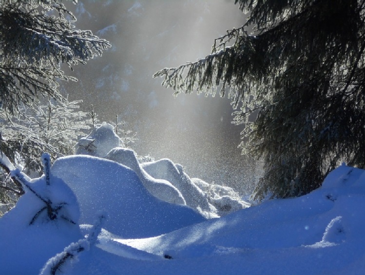 Beskidy/ Ruszają ferie; wypoczywający znajdą jeszcze miejsca w kurortach