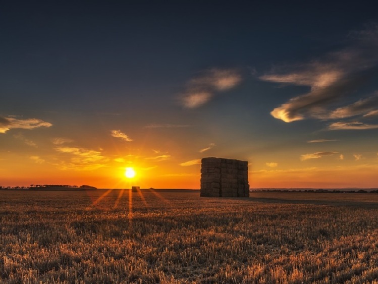 Decyzji w sprawie przedłużenia terminu składania wniosk&oacute;w na razie brak