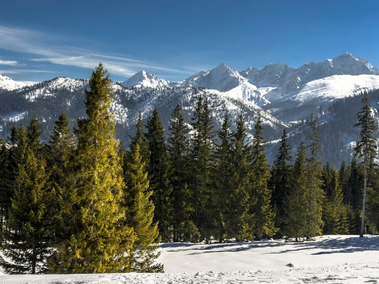 Święta i Sylwester w polskich górach drożej. Zaskakuje Zakopane