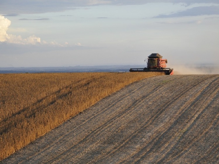 USDA  – nieznacznie mniejsze prognozy globalnych zbiorów soi w sezonie 2016/17